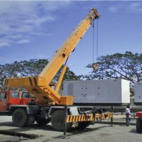 GRUE PPM 25 TONNES